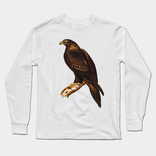 Wedge-tailed Eagle Vintage Illustration Long Sleeve T-Shirt by KarwilbeDesigns